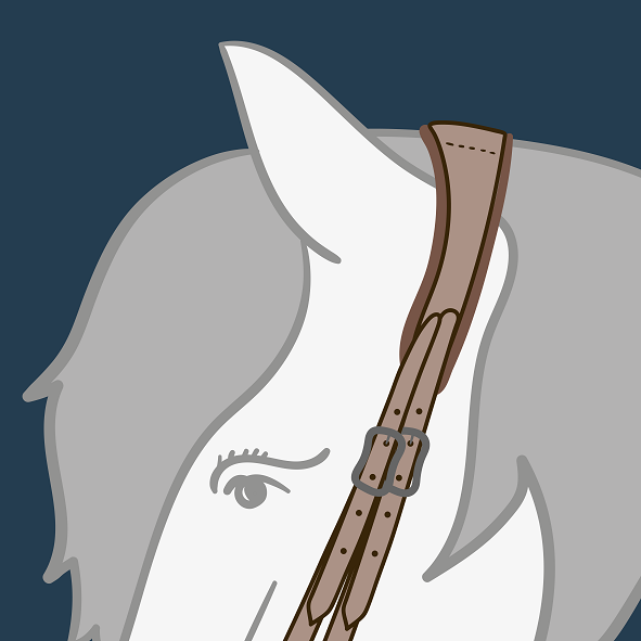 Genick_anatomisch 2 Straenge_klein